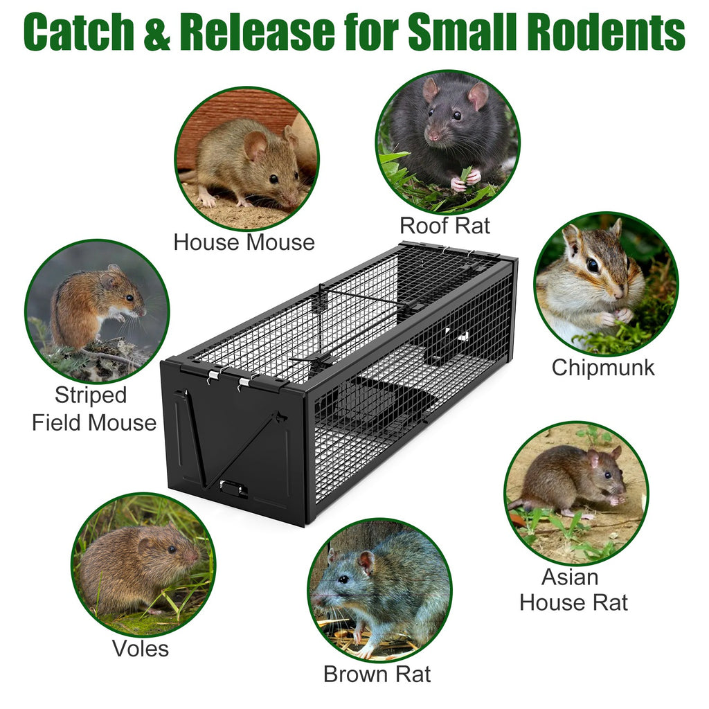 Live Rat Trap Galvanized Iron Trap Cage