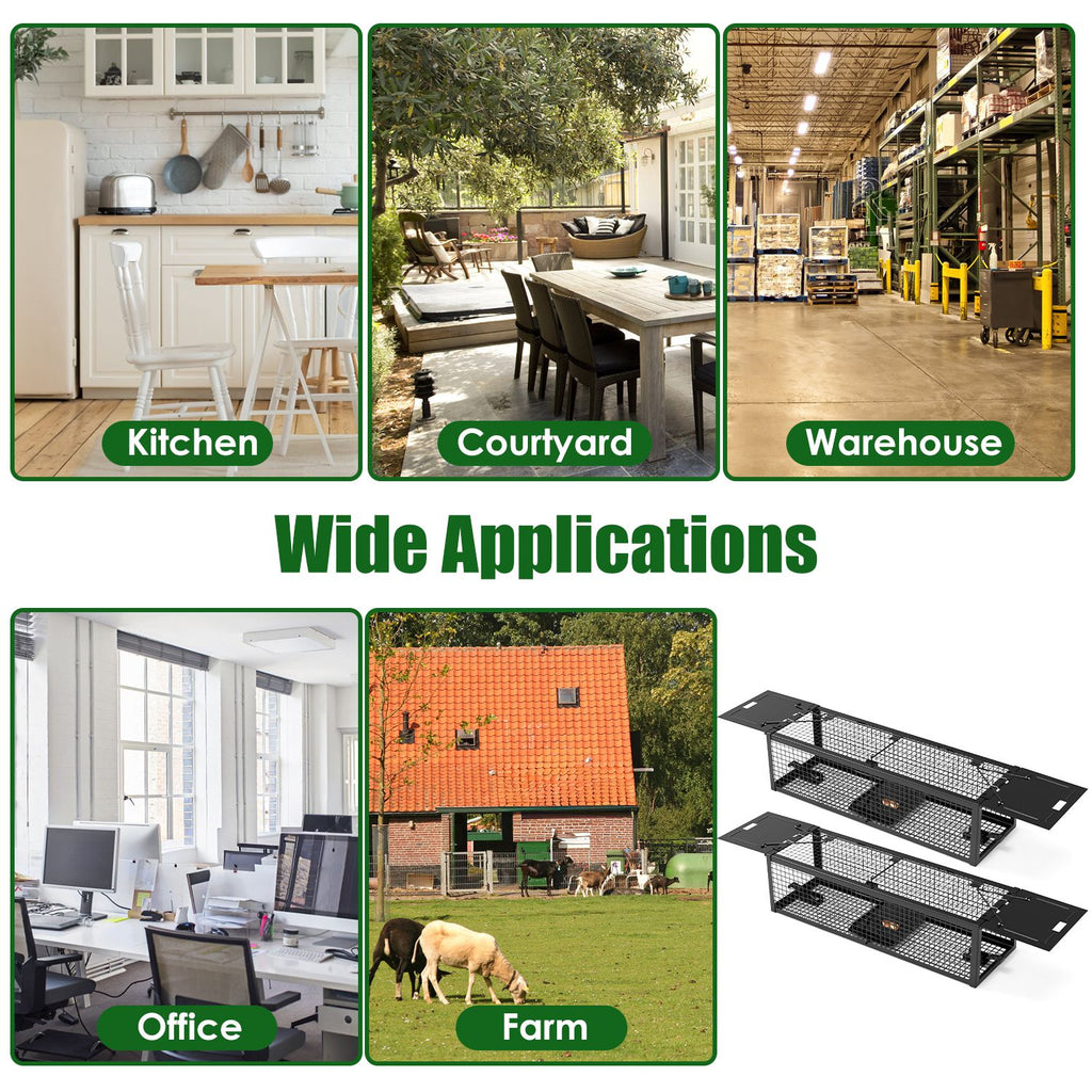 Live Rat Trap Galvanized Iron Trap Cage