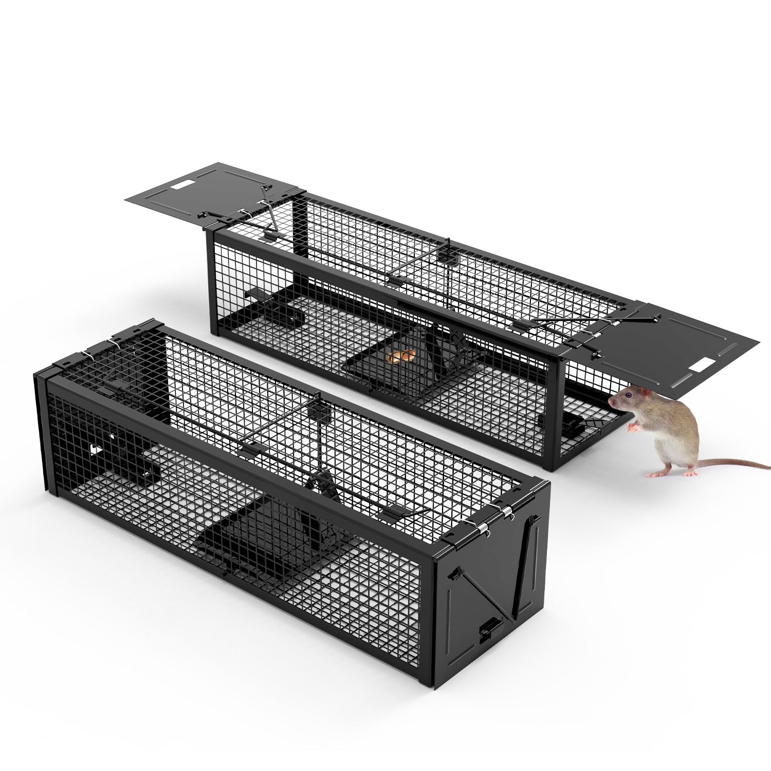 Live Rat Trap Galvanized Iron Trap Cage