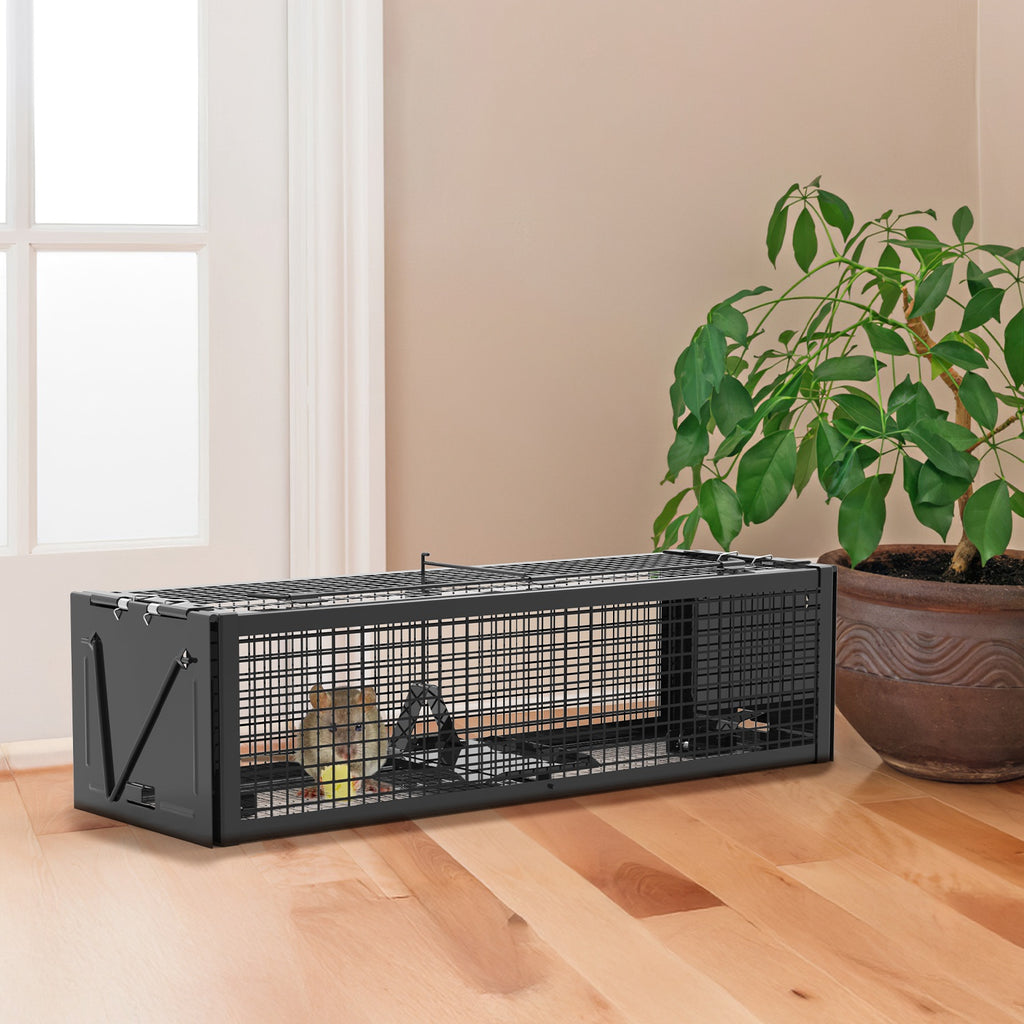 Live Rat Trap Galvanized Iron Trap Cage