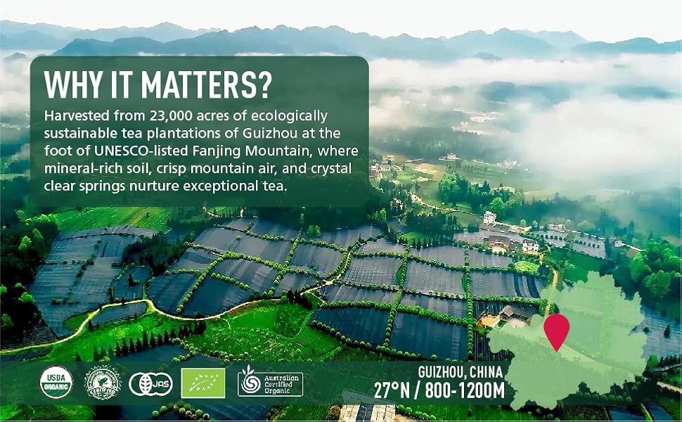 Matcha--Ceremonial Grade Organic Matcha Green Tea Powder