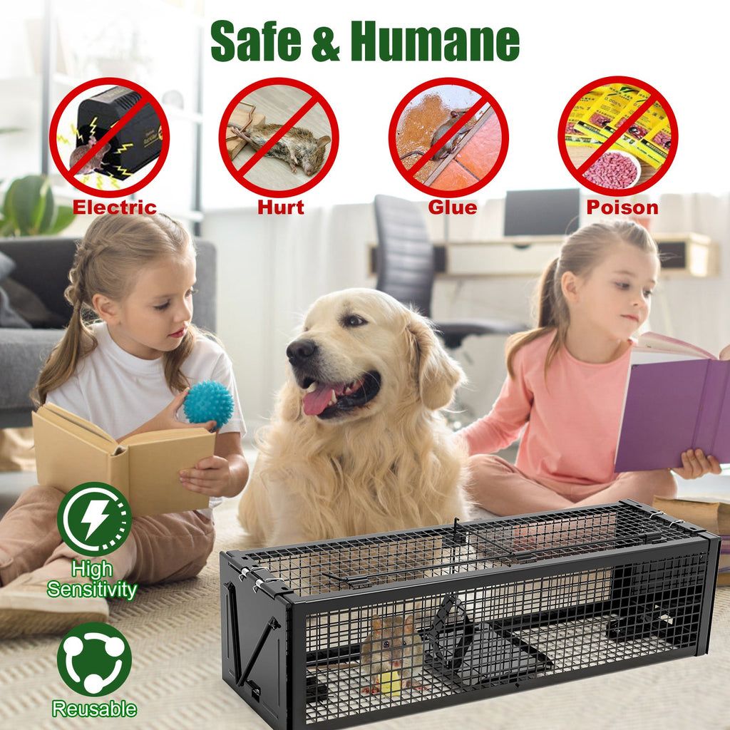 Live Rat Trap Galvanized Iron Trap Cage